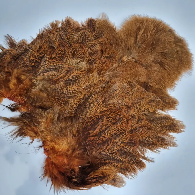 Whiting Coq de Leon Hen Soft Hackle with Chickabou in Speckled Burnt Orange-7